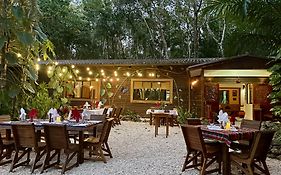 Mariposa Jungle Lodge